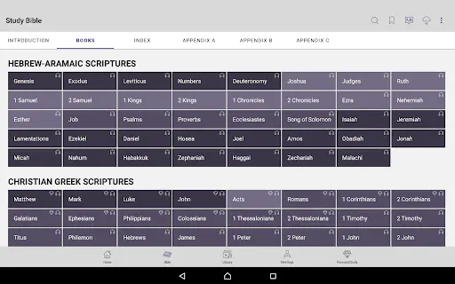 Screenshot 13